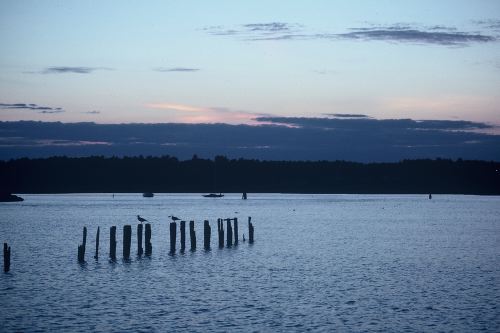 img0080
