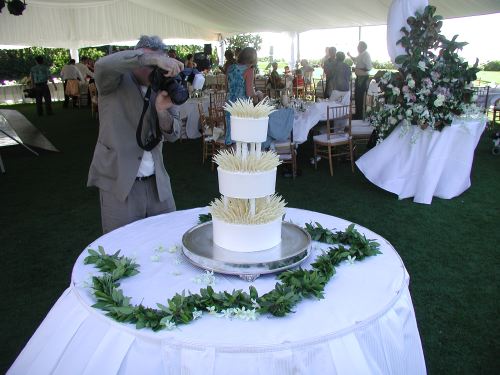 pa270226-weddingcake