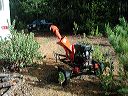 p1190002-drchipper