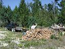 p9040032-twocordsoffirewood