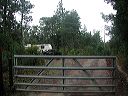 pc310007-trailernearfence
